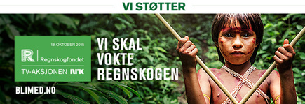 Ringedugnad for næringslivet, TV-aksjonen 2015